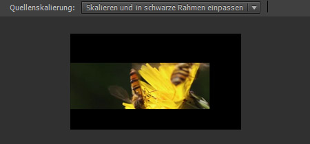 skalieren und in schwarzen Rahmen einpassen